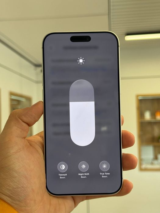 iPhone 17 Pro Max | 256 GB