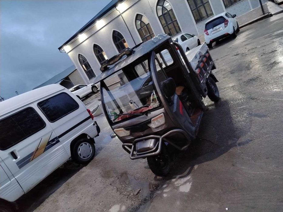 Электр муравей сотилади