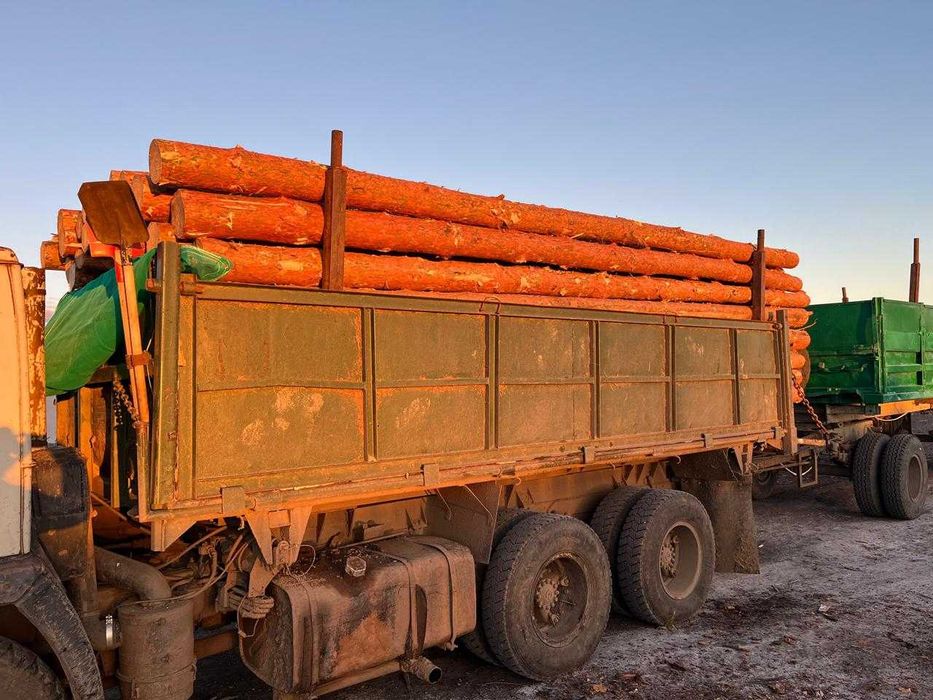 Деревянные опоры для ЛЭП и пиломатериалы