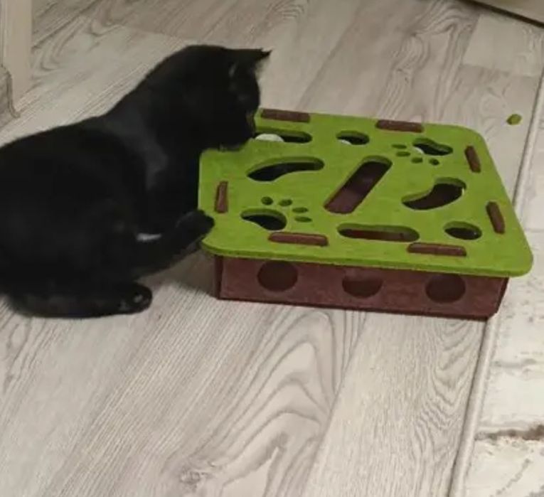Продам игровой комплекс для котов