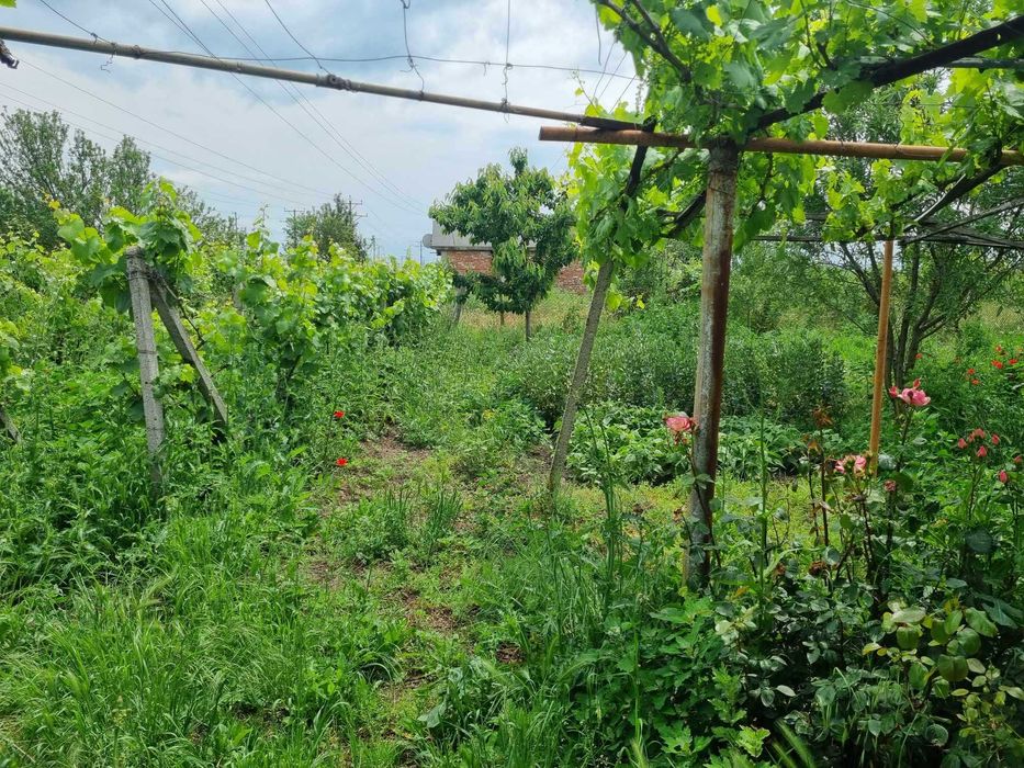 Продава се Парцел в Ямбол, Център - 755 кв.м за 10 €/кв.м - Снимка #1