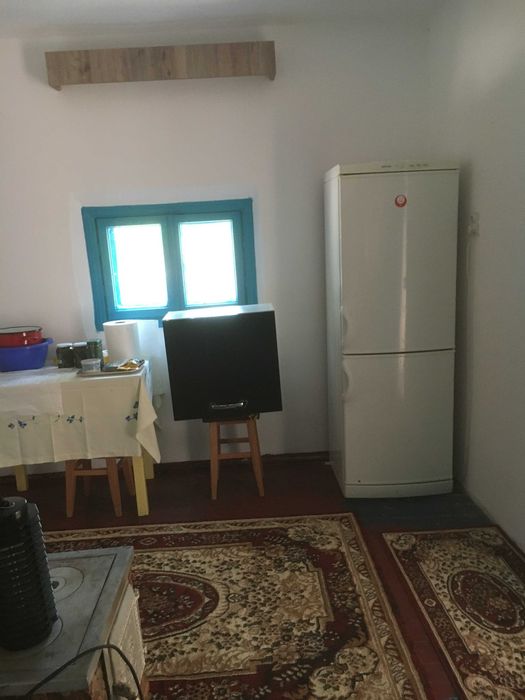 Refugiu la Dunăre: Casa batraneasca si teren generos cu livada