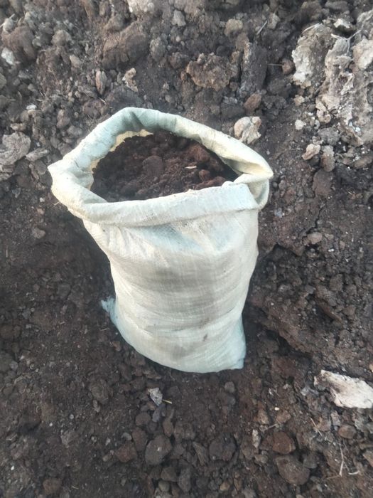 Продам натуральный навоз