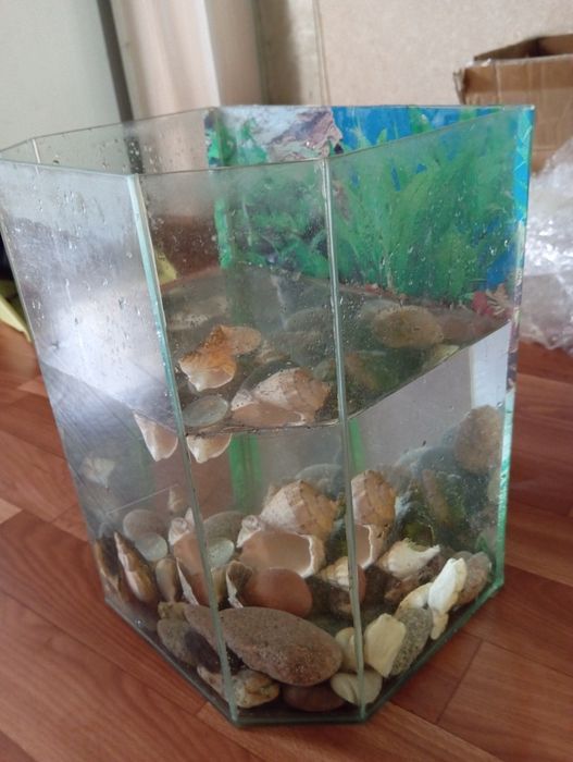 Продам аквариум 10л