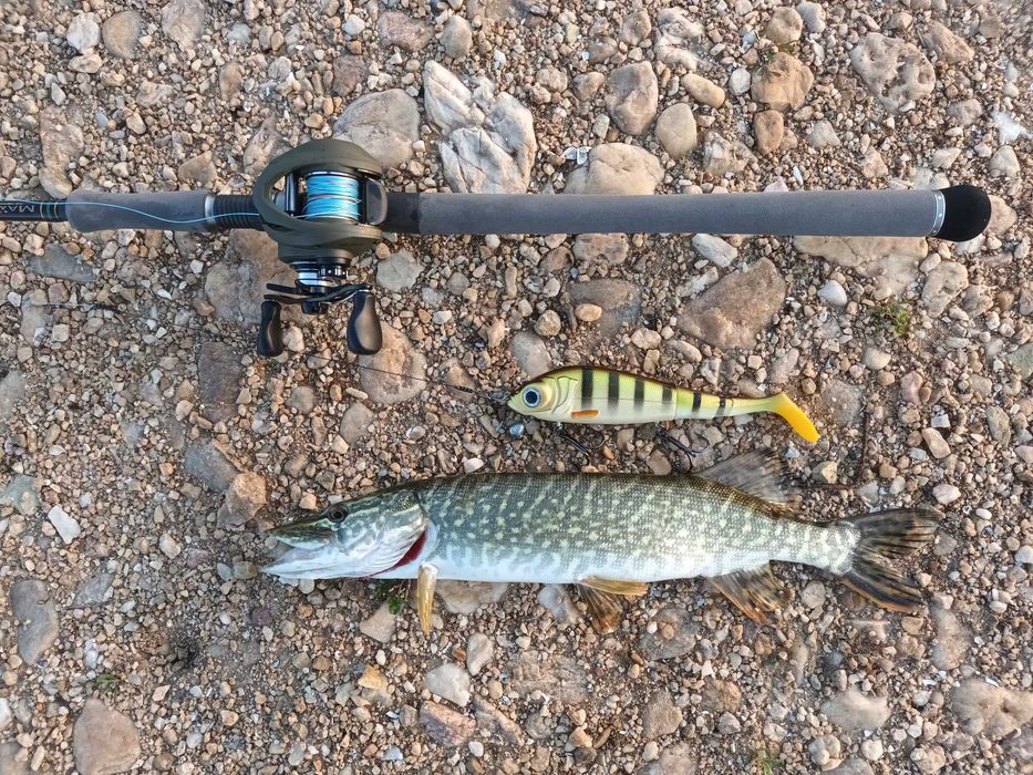 Кастинг въдици за джърк Maximus