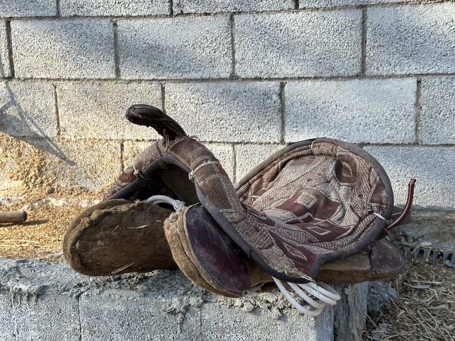 Қырғыз ертоқым….