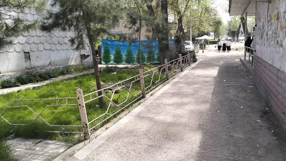 Спутник1 59д 3ком пот офис магазин