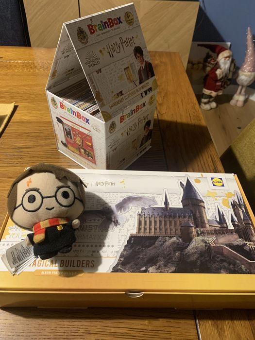 Brainbox harry potter, breloc harry potter si joc lidl harry potter