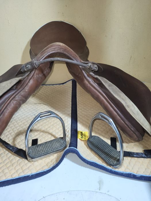 Șei echitație, calarie