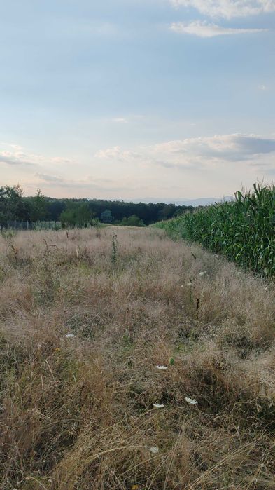 Teren de vânzare