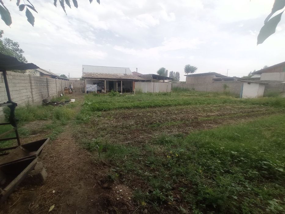 Xovli sotiladi YANGI TOSHKENTDA  10 sotik