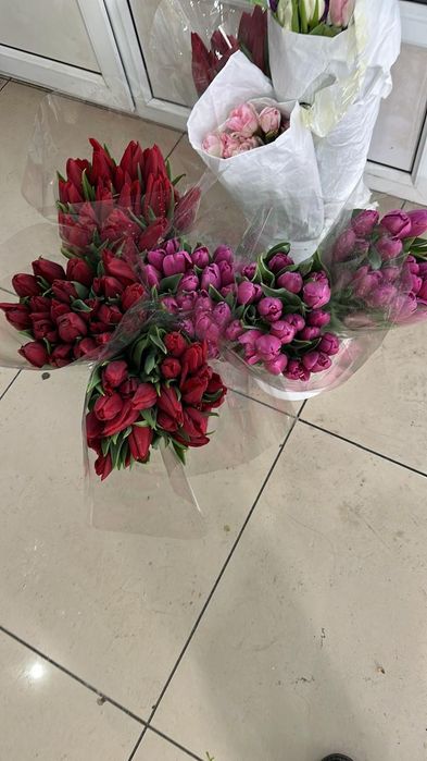 Тюльпаны Темиртау