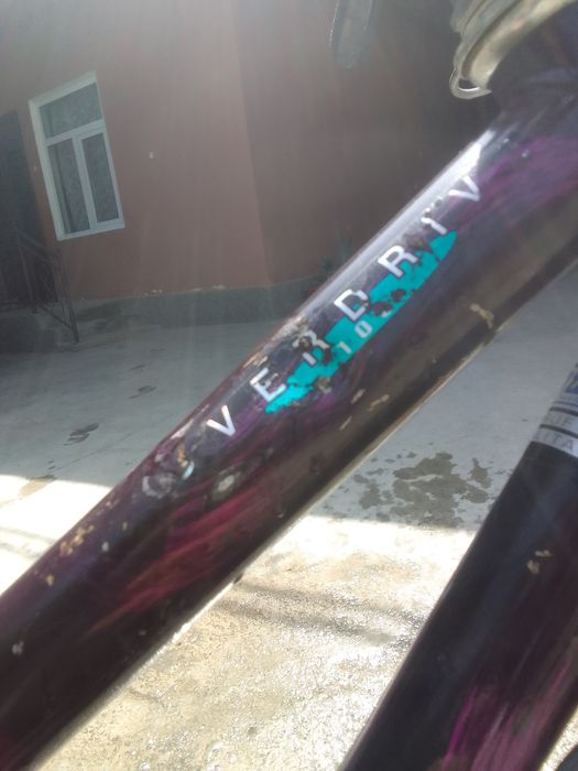 Germany velodiped holadi yaxshi