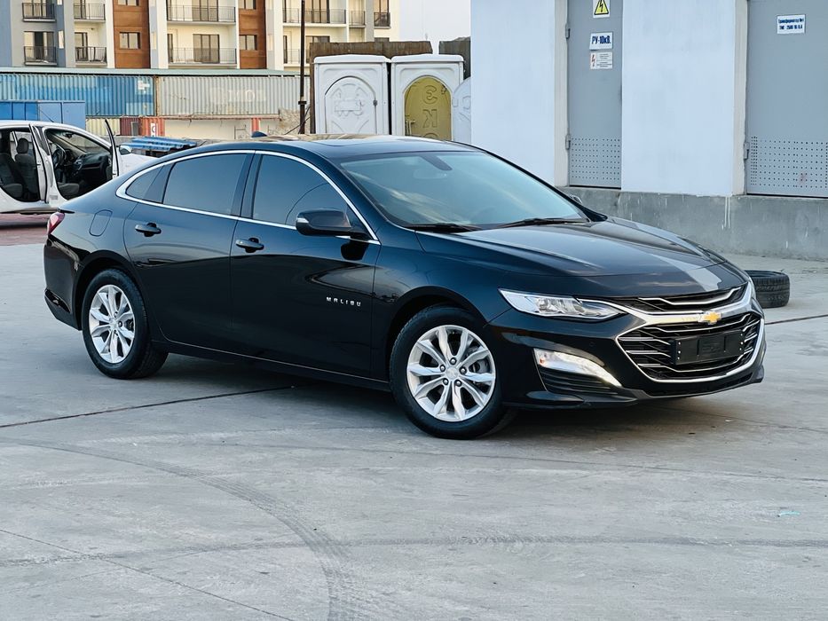 Malibu Premier 2022 Ideal Xolati Tozza 100%