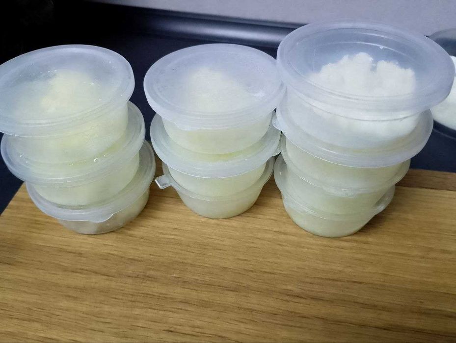 Тибетска кефирена гъба за Кефир