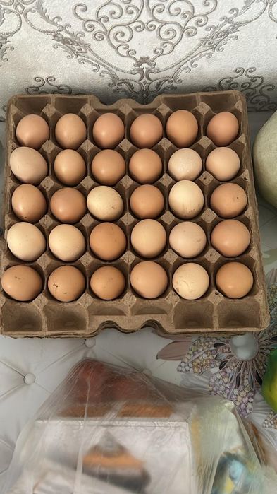 Жұмыртқа сатылады