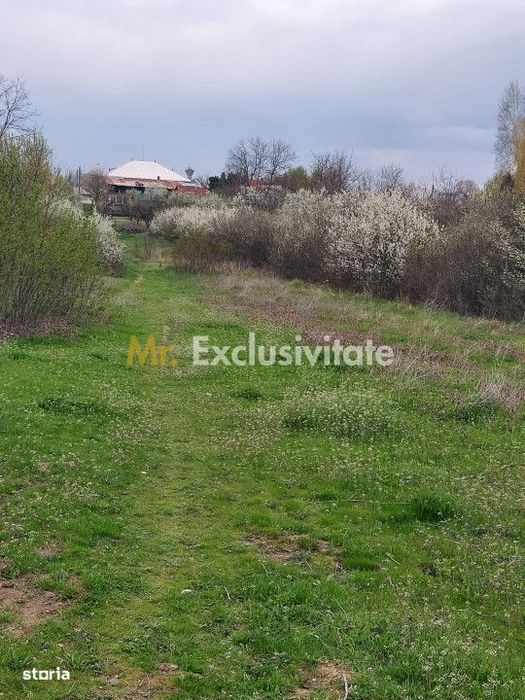 Teren Topoloveni - 3670 mp - langa padure, aproape de Centrul orasului
