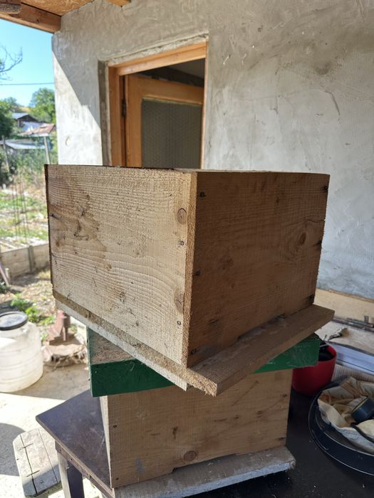 Lazi pentru familii de albine