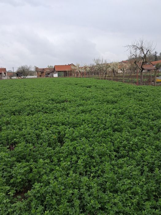 Casă de vânzare Cutina
