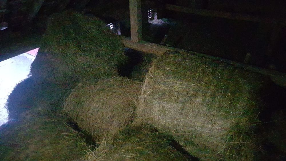 Baloți rotunzi fân