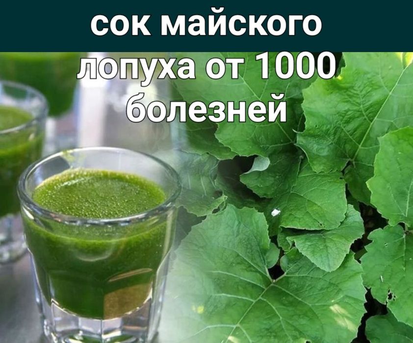Сок майского лопуха