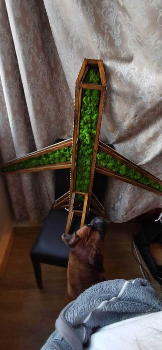 Decoratiune - Avion din lemn realizat manual cu licheni si led-uri rgb