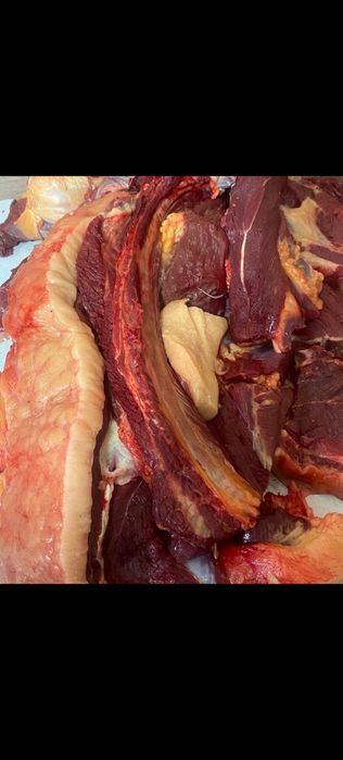 Ет,қазы, тойға ет