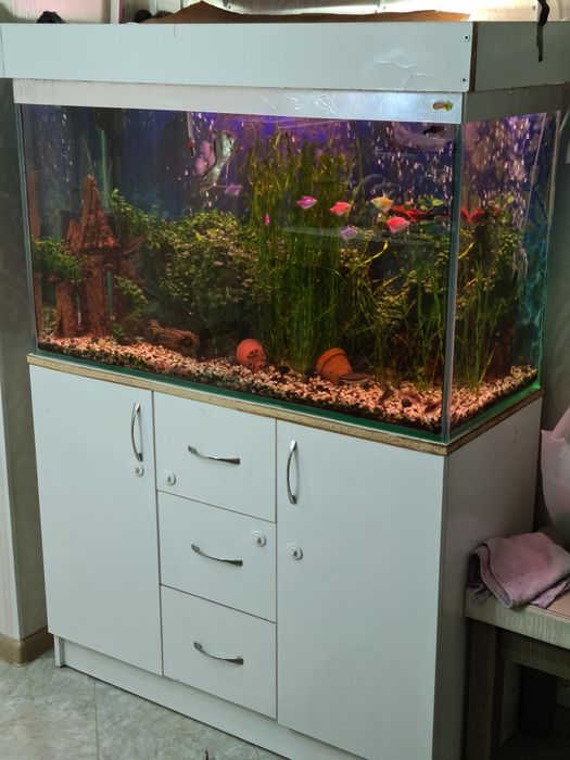 Аквариум (объёмом 220л) со всем в комплекте