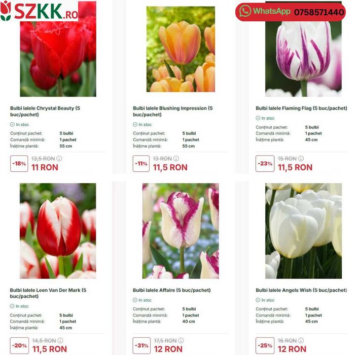 Bulbi de lalele la pret de extrasezon - lichidare stoc!