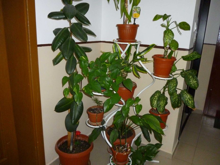 Panasonic Lumix DMC-FS18  16 MPx