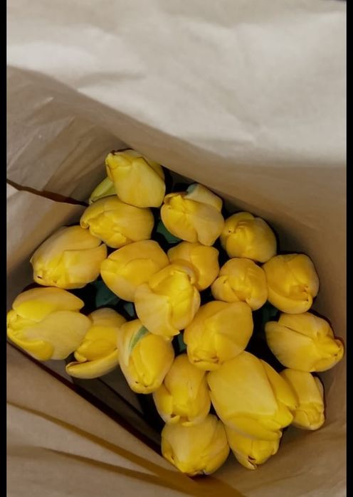 Тюльпаны на 8 марта