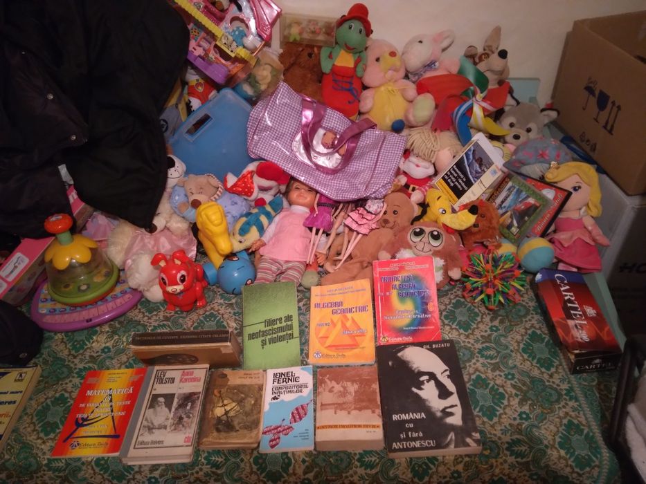 Lot de 10 cărți ieftin 100 de lei