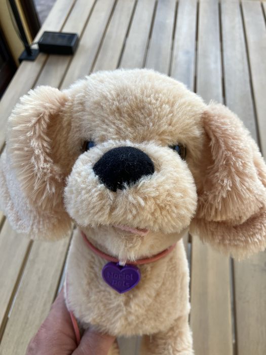 Noriel Pets catel interactiv