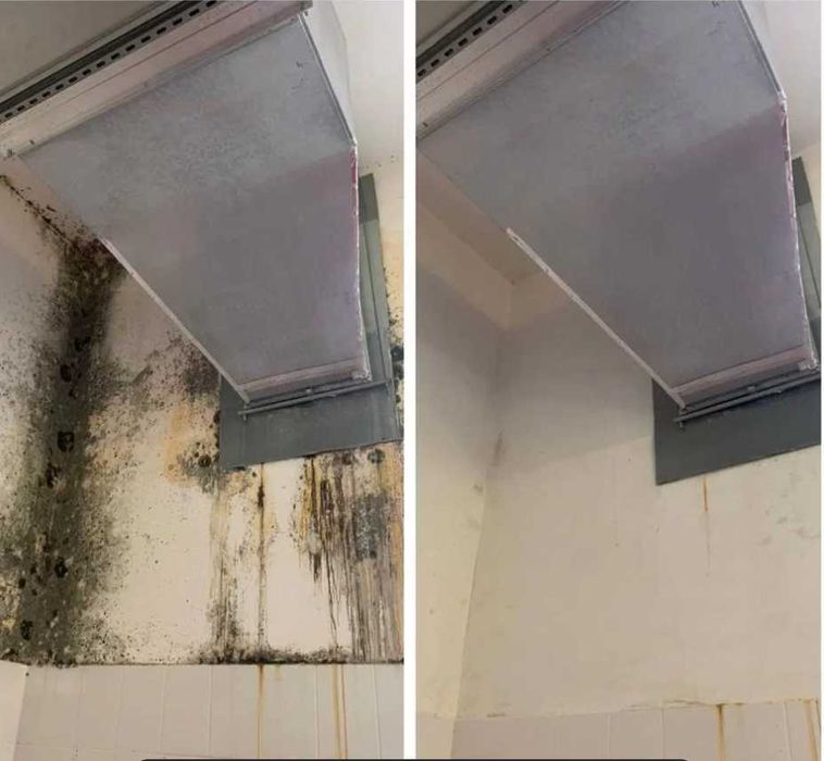 Дезинфекция Dezinfeksiya