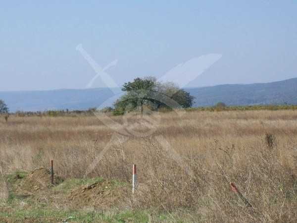 Продава се Парцел в с. Кошарица, Област Бургас - 4212 кв.м за 11 €/кв.м - Снимка #1