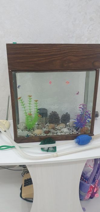 Аквариум без рыбок