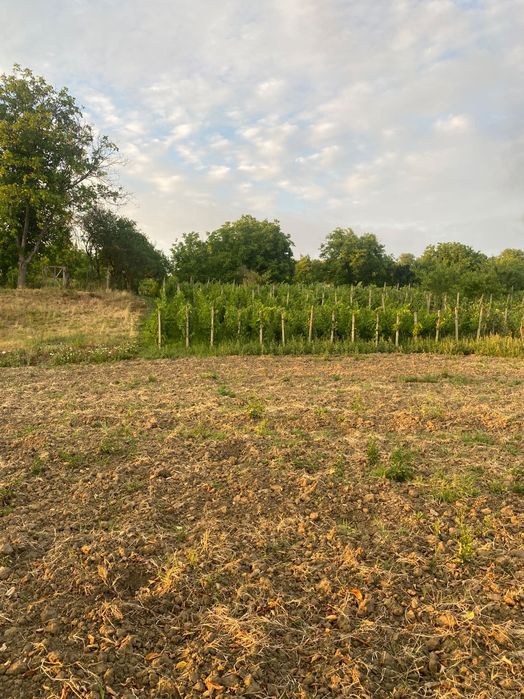 Casă de vânzare în Craiesti
