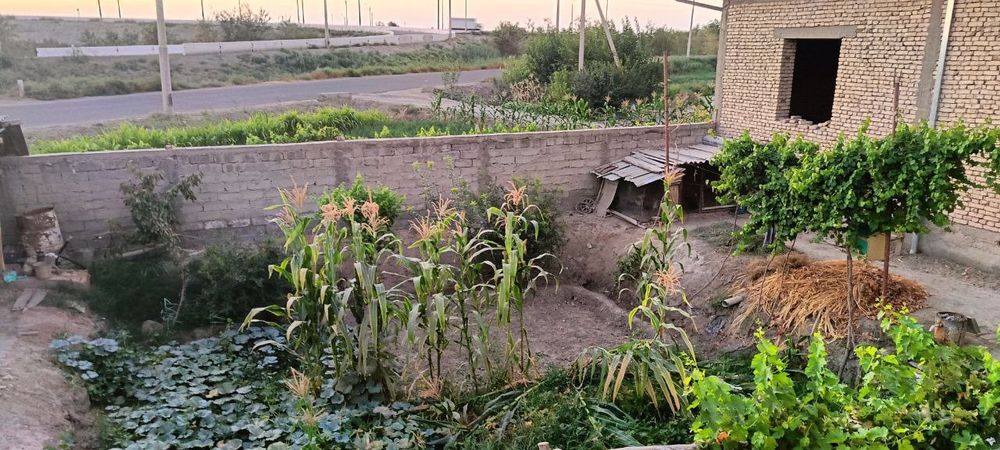 Uchastka baquvat qurilgan.