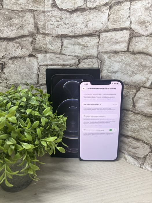 Iphone 12 Pro Max Айфон 12 Про Мах