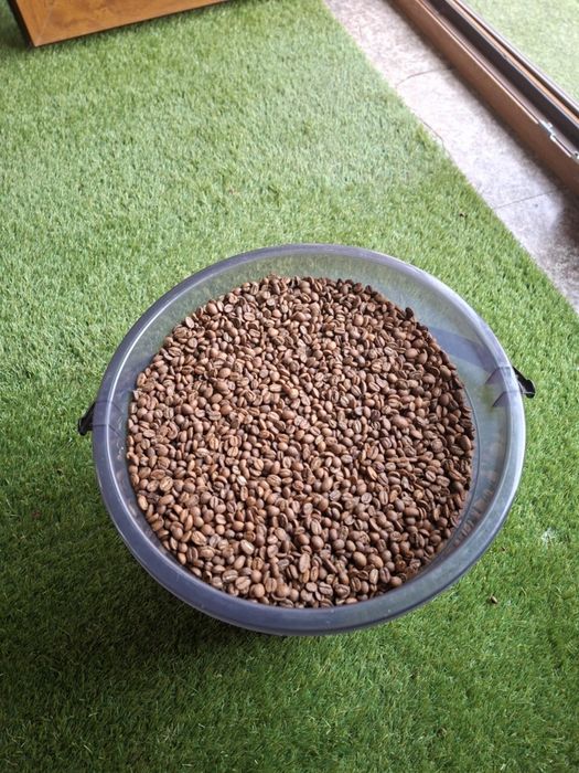 Vând 10 kg cafea boabe Lavazza