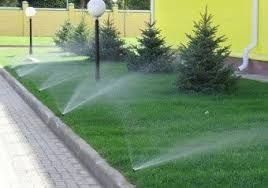 Газон ландшафт САДОВНИК