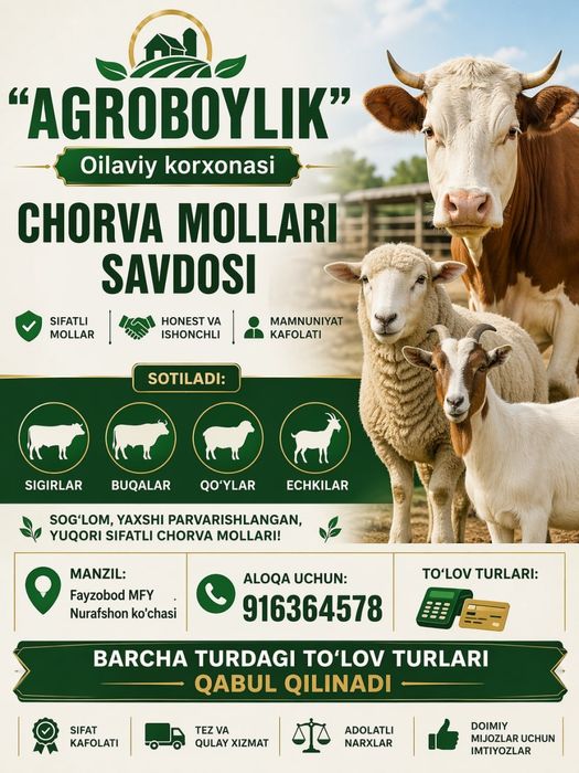 Chorva mollari yetkazib berish xizmatlari