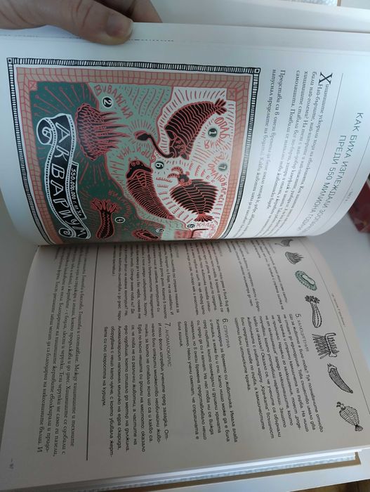 Книга Мистерията на живота