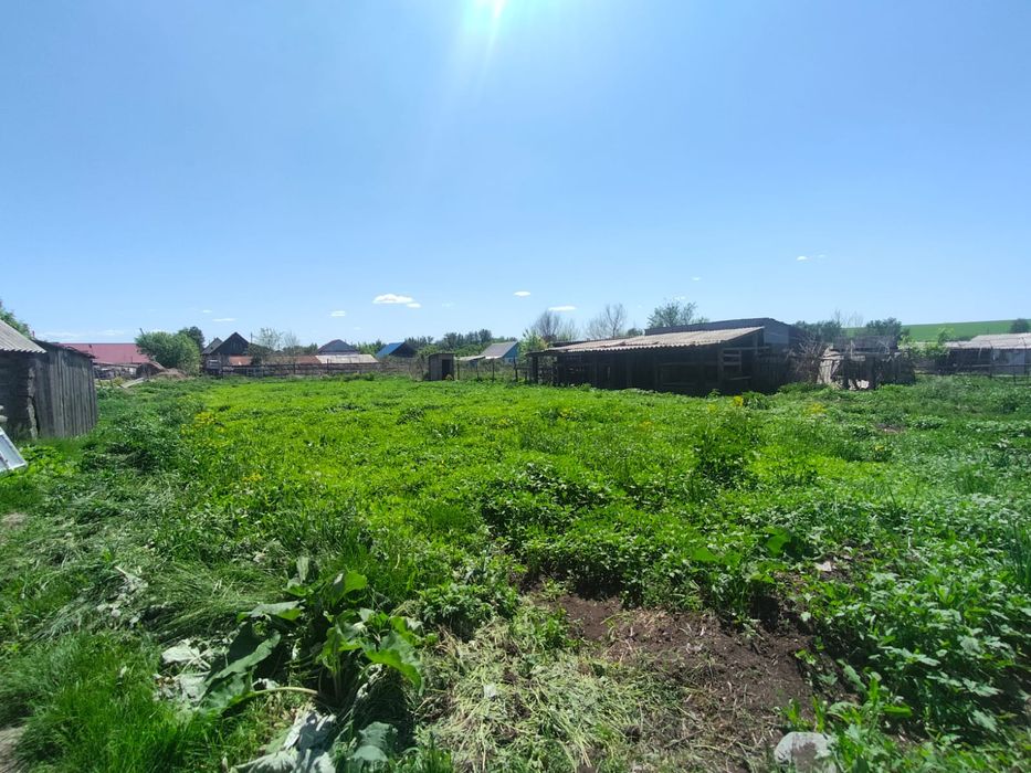 Продается дом Село Опытное поле