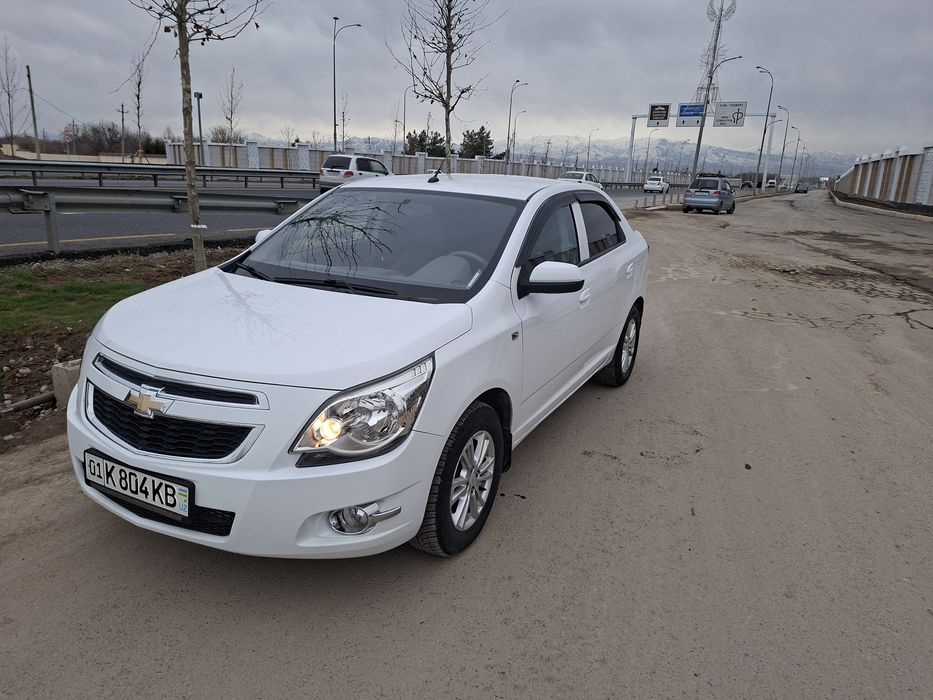 Coblt 2020 yil tozza prapan taqilgan