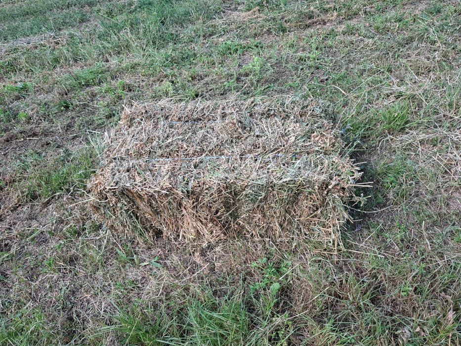 Baloti de vanzare (lucerna cuasa a doua )