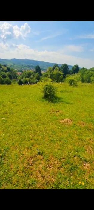 Intravilan 7600 mp in Grui