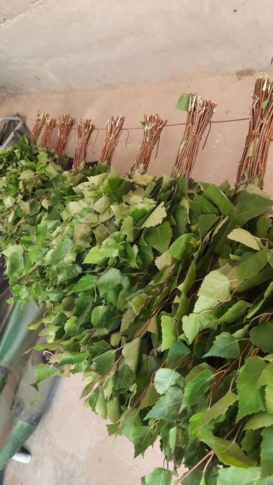 Веник банный березовый.