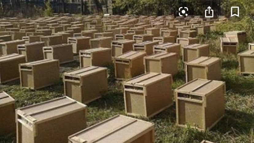 Пчелопакеты 3+1