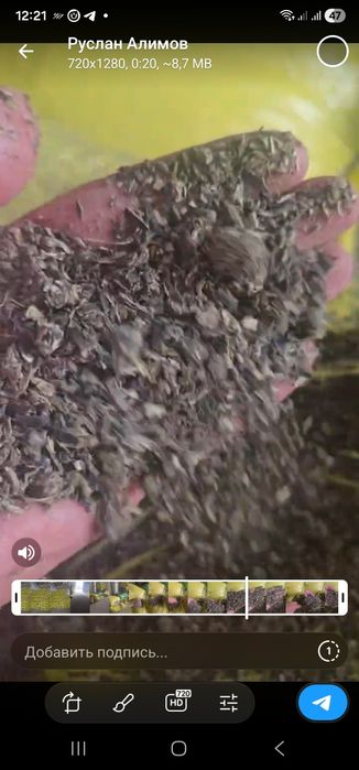 Семечки шрот  Казахстан, продажа Ташкент